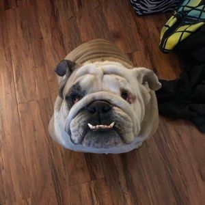 Meet your Posher, Gilberto